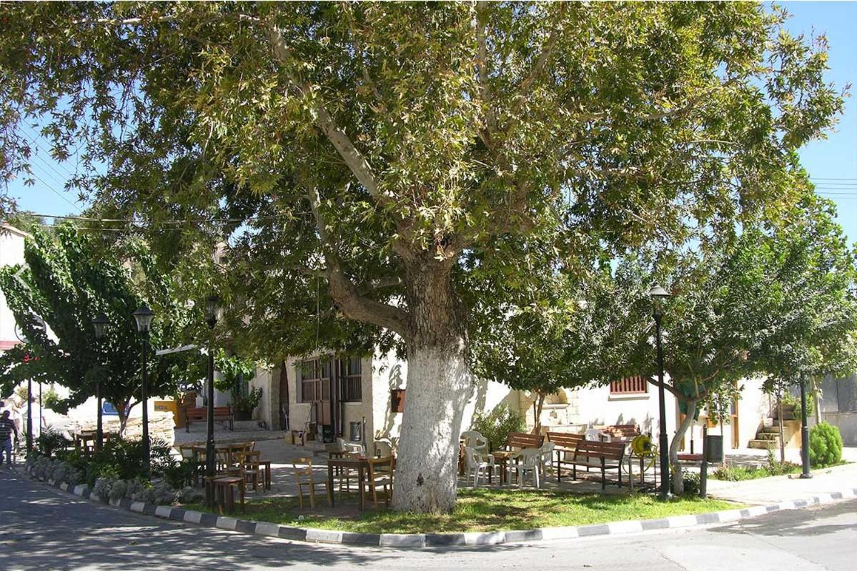 Avalon Village Houses Limassol Ngoại thất bức ảnh