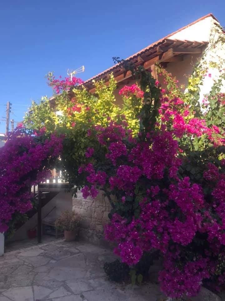 Avalon Village Houses Limassol Ngoại thất bức ảnh
